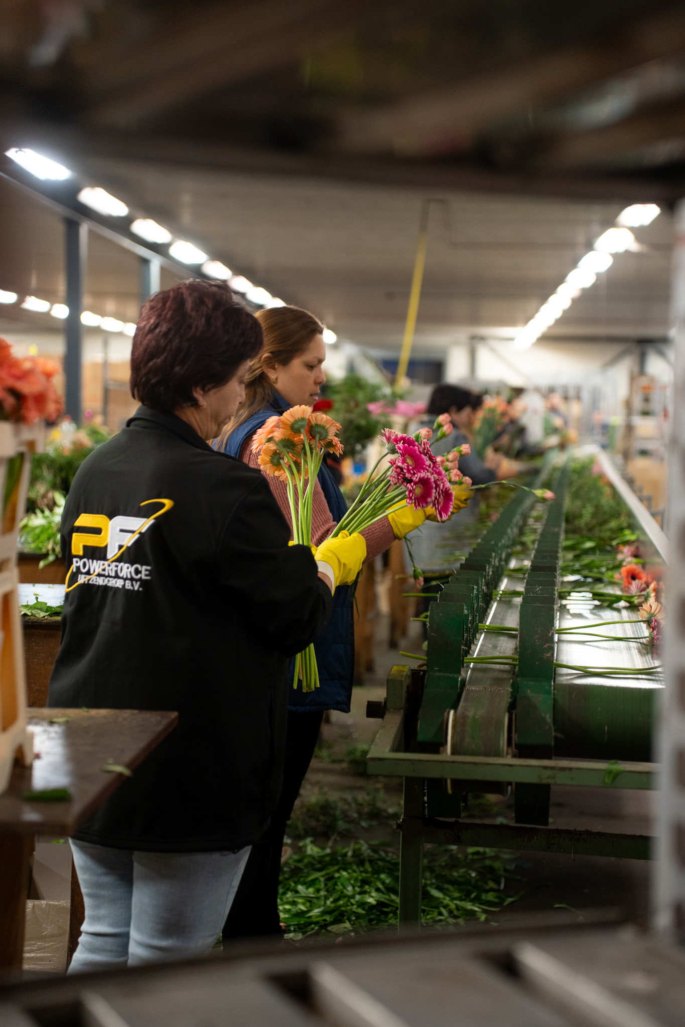 Powerforce B.V. — voorbeeld van een branding-traject uit onze portfolio