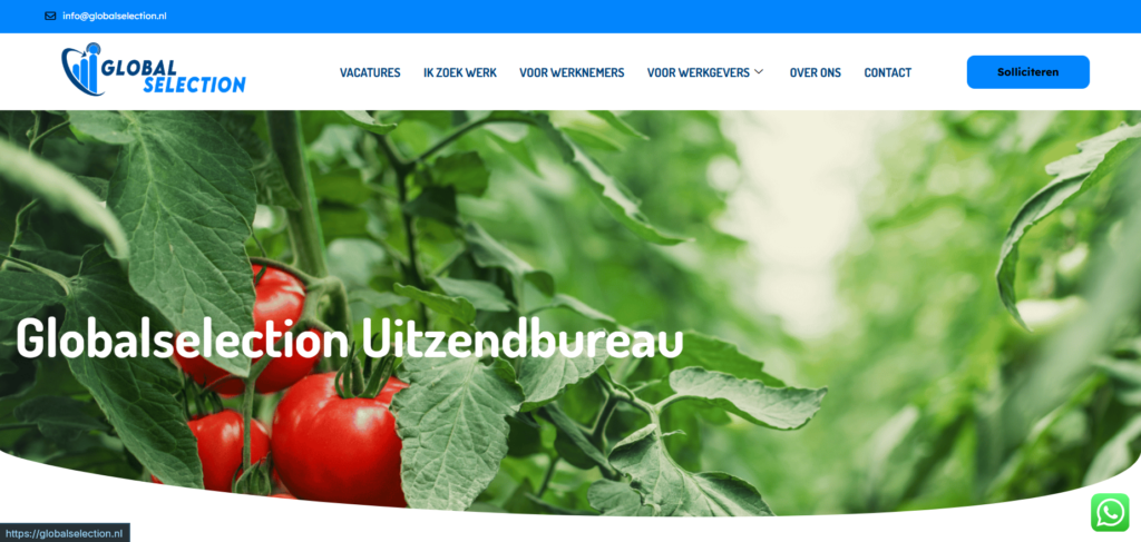 Global Selection – Next-Gen Retail Experience – WooCommerce – Portfolio Case preview